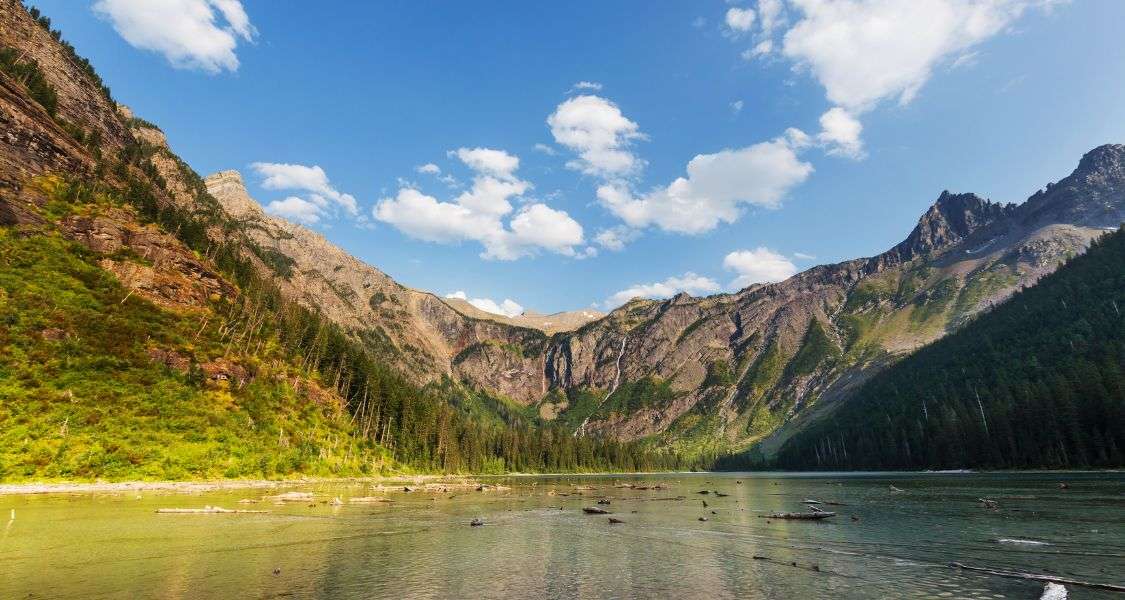 Explore The Pristine Beauty Of Avalanche Lake In Ooty Zingbus