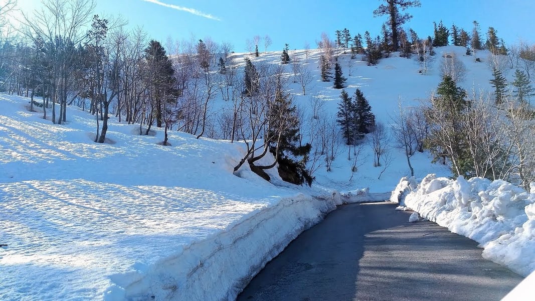 Gulaba in Manali