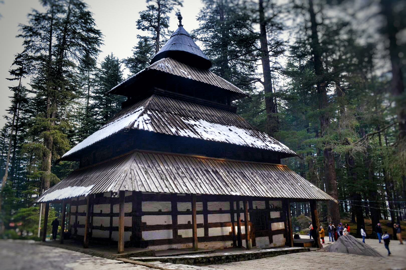 hadimba temple in manali