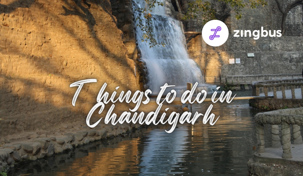 Top 5 Essential Things to do in Chandigarh