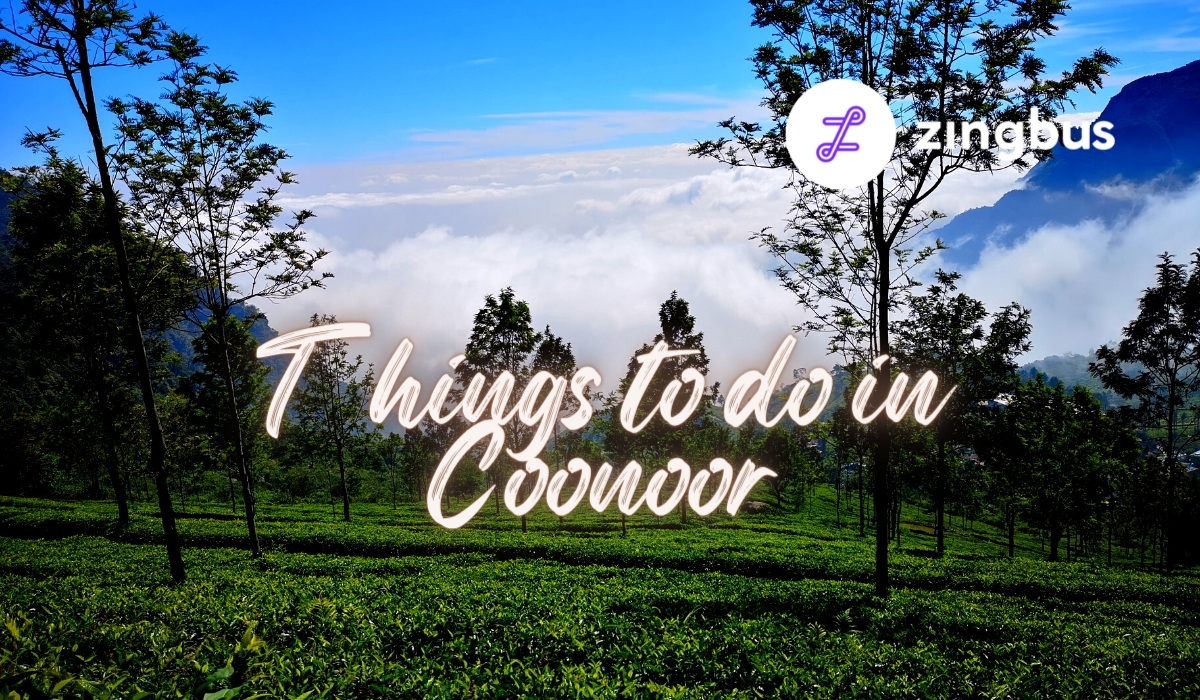 Here are 5 Awesome Things to do in Coonoor