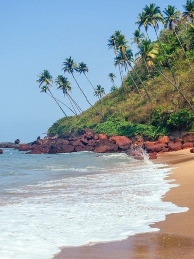 Things to do & Places to visit in Goa