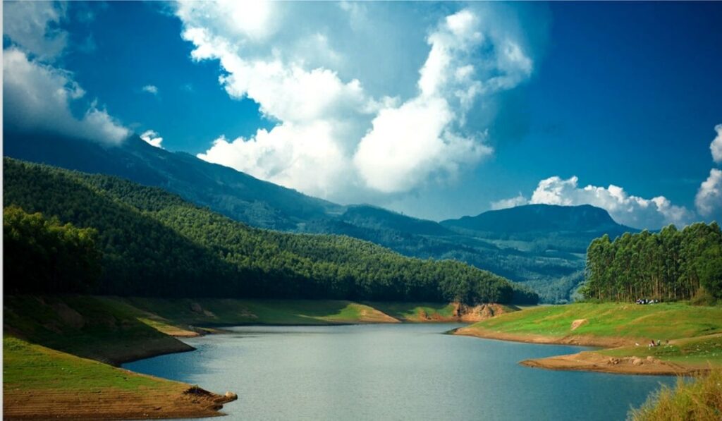 things to do in munnar