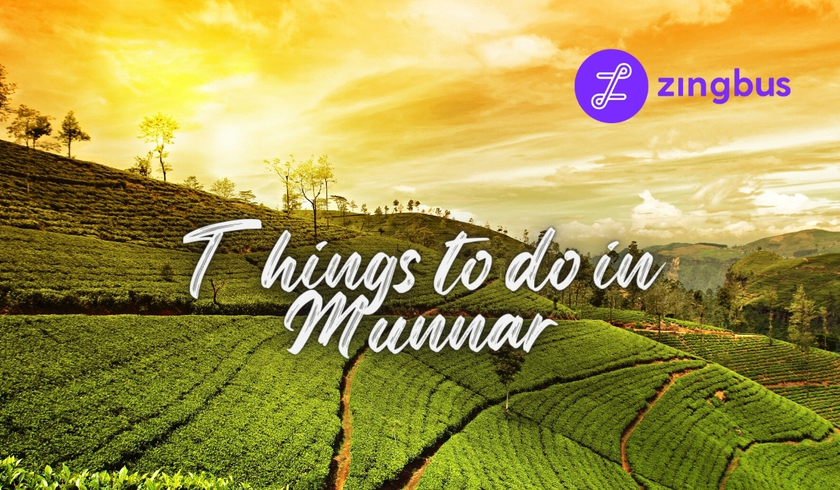 Discover Munnar, Kerala : Top 5 Things to Do and Places to Visit