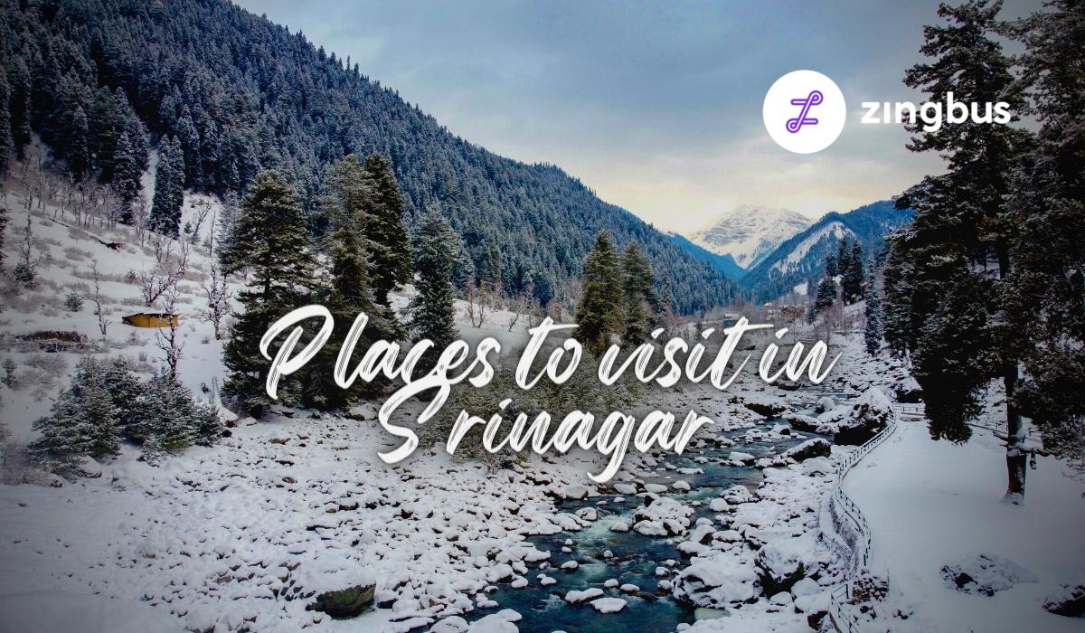 Top 5 Incredible Places to visit in Srinagar,J&K