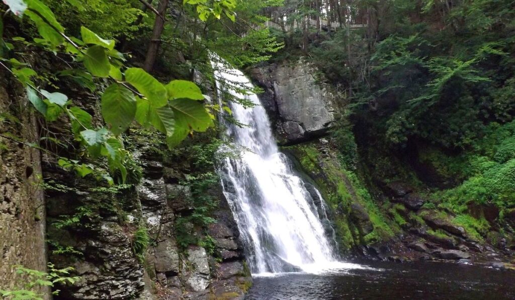 waterfall in jim