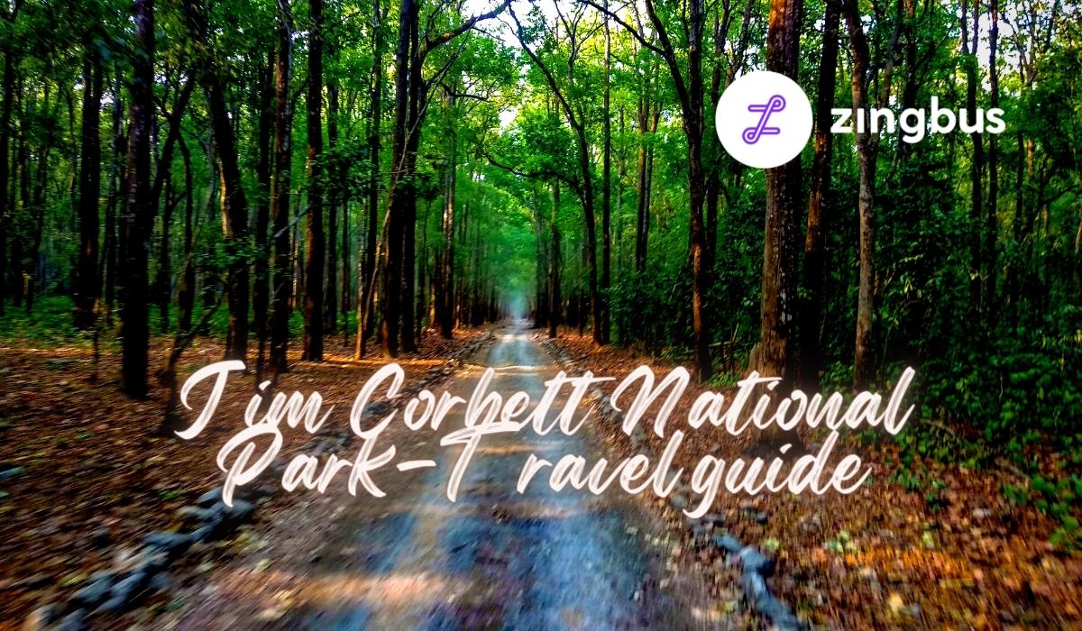 Explore Amazing Jim Corbett: Plan National Park Trip 2023