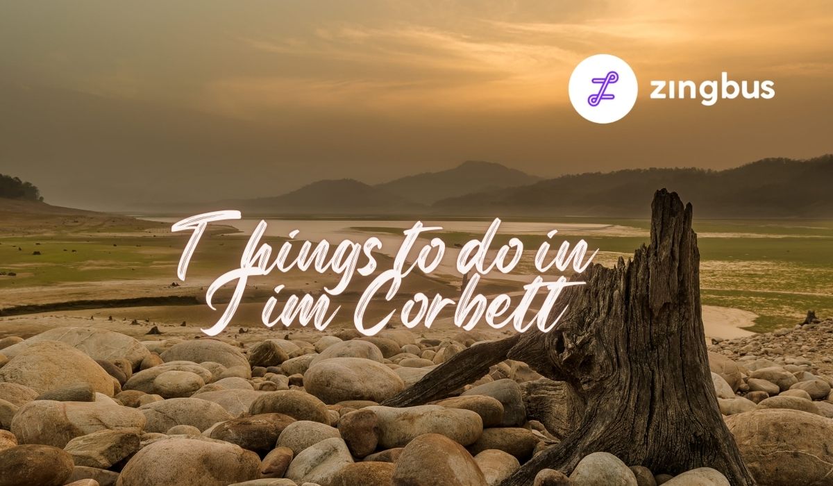 5 Stunning Things to do in Jim Corbett, Uttarakhand