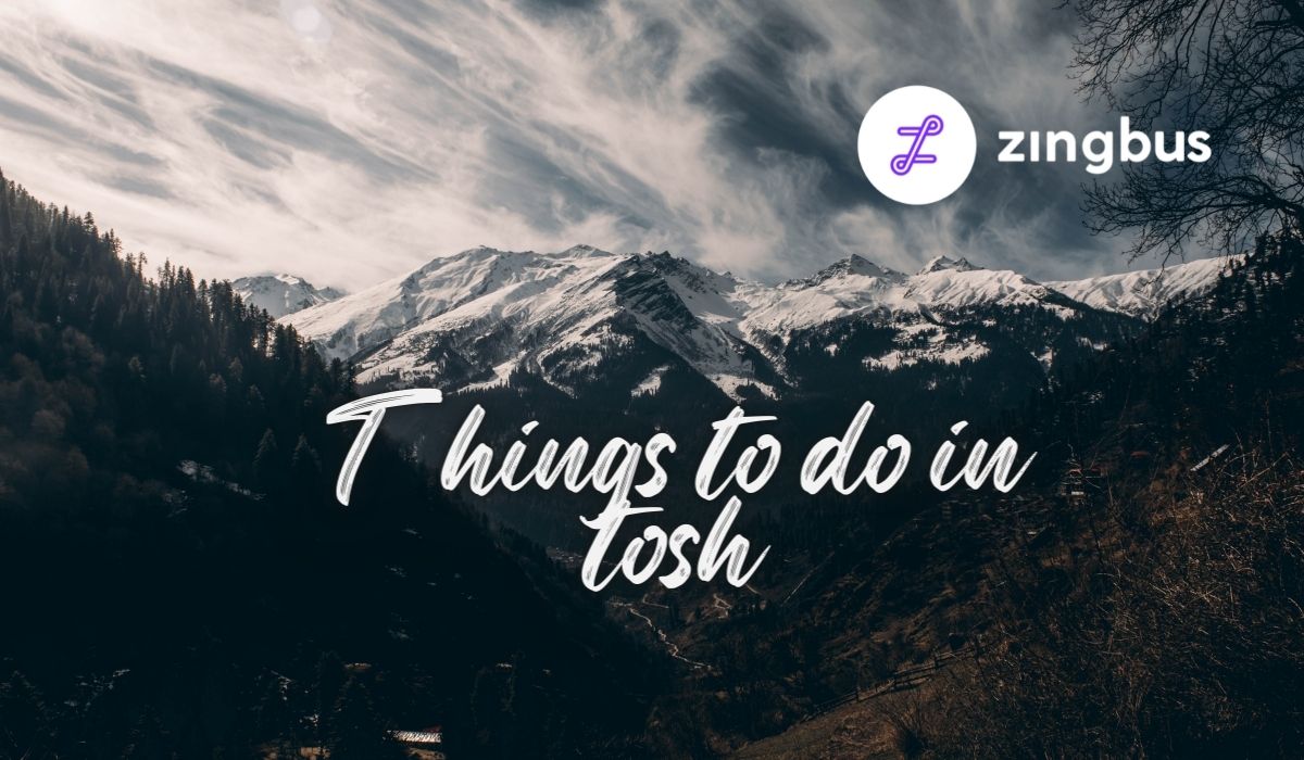 7 Breathtaking Things to do in Tosh, Himachal Pradesh