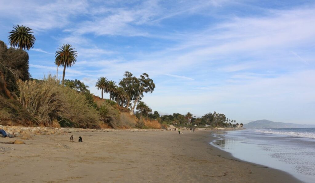 Butterfly Beach