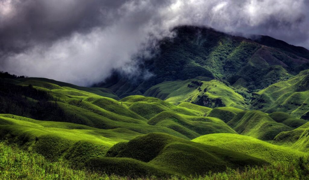 Dzukou Valley