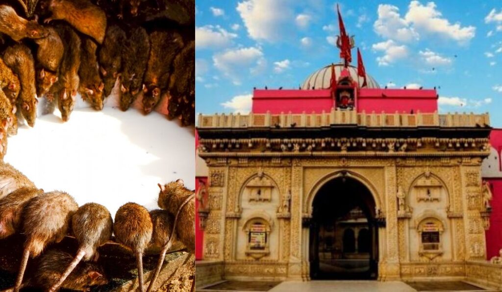 Karni Mata Temple - tourist places in Alwar