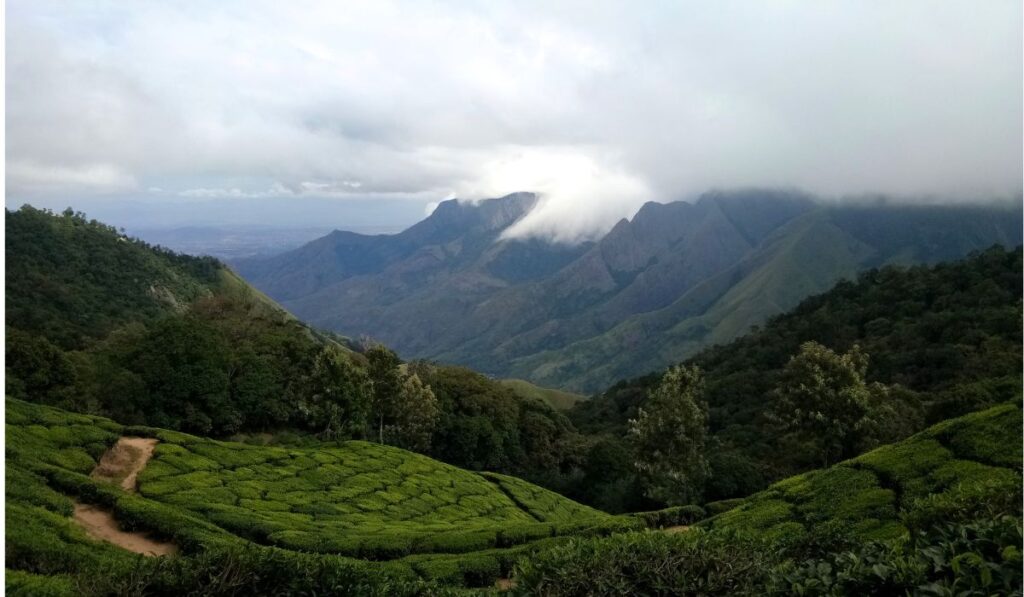 Biodiversity hotspots in India