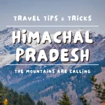 White-Minimalist-Simple-Travel-Blogger-Tips-Wordpress-Blog-Thumbnail