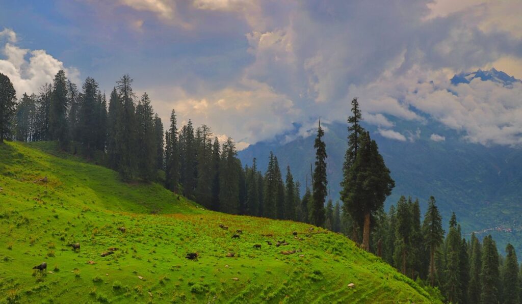 himachal pradesh in summers