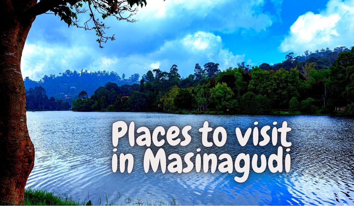 7 Best Tourist Places to Visit in Masinagudi