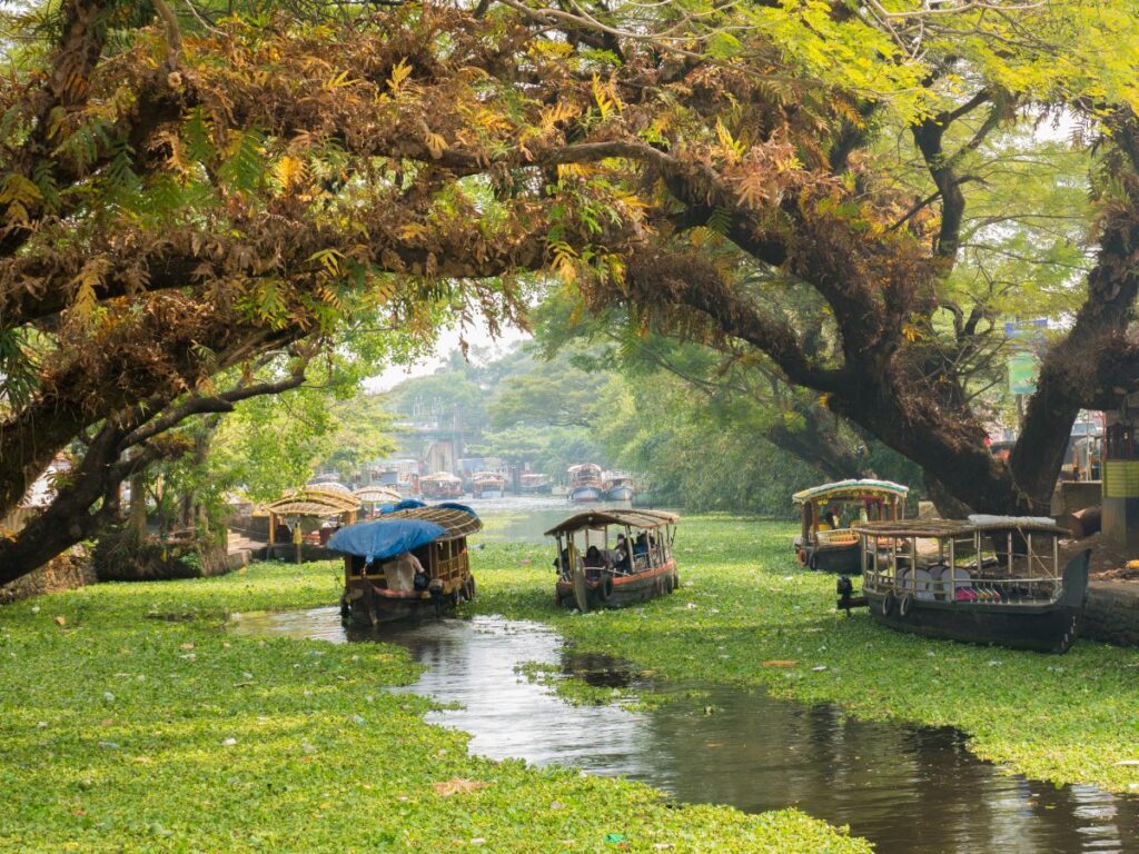  Alleppey, Kerala places in South India to visit during the Monsoon