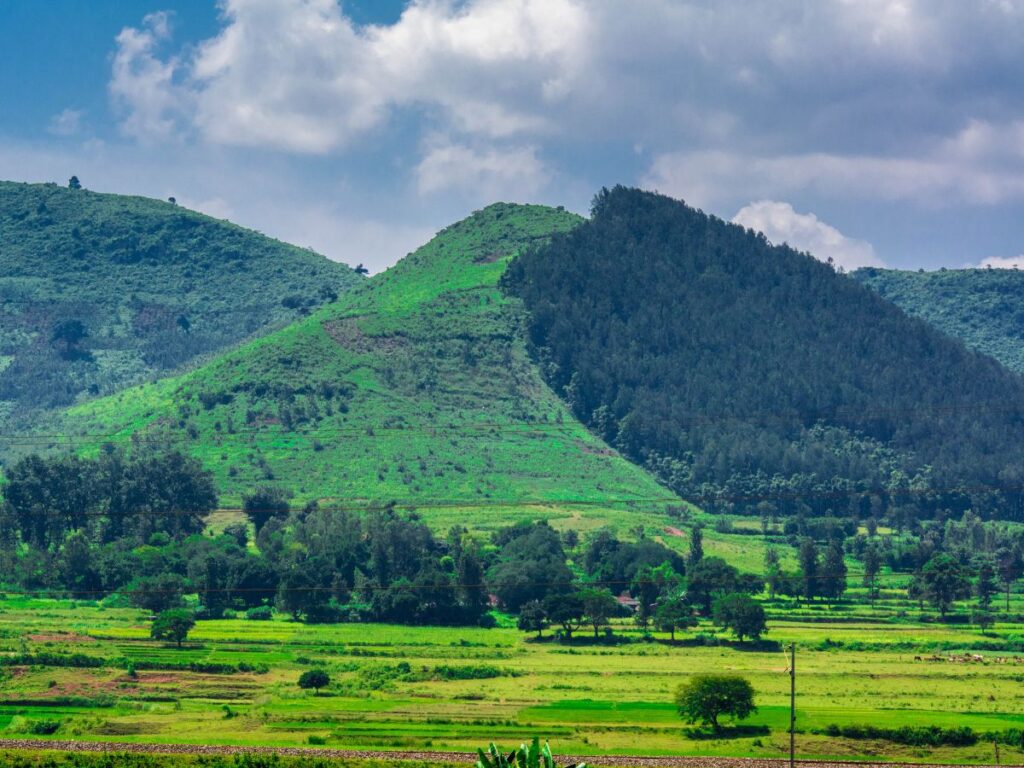 Araku Valley