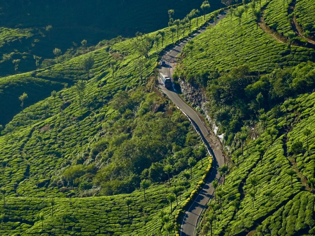 MUNNAR (3)