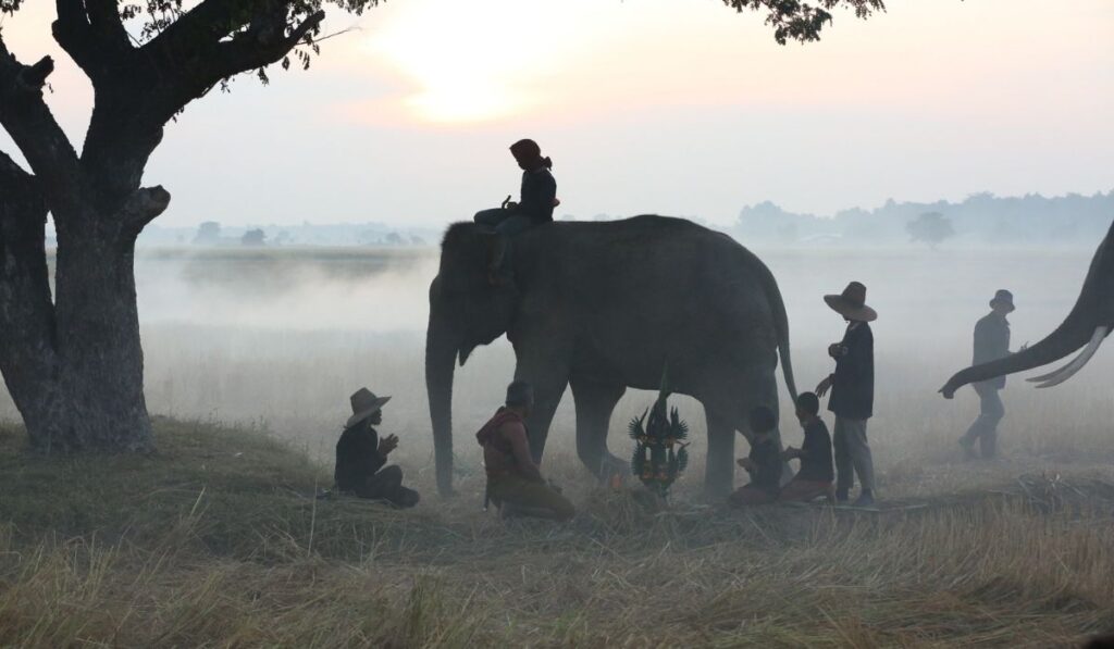 Pakhui Wildlife Sanctuary- #3 of 10 best places to visit in Arunachal Pradesh