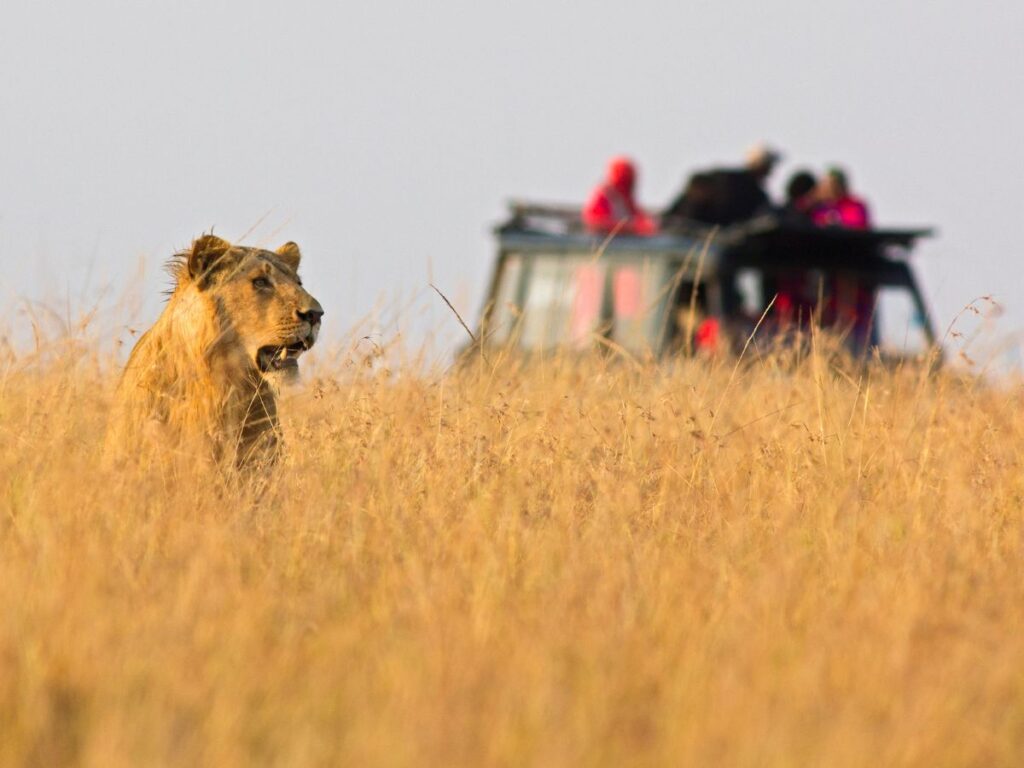 wildlife sanctuary in mp