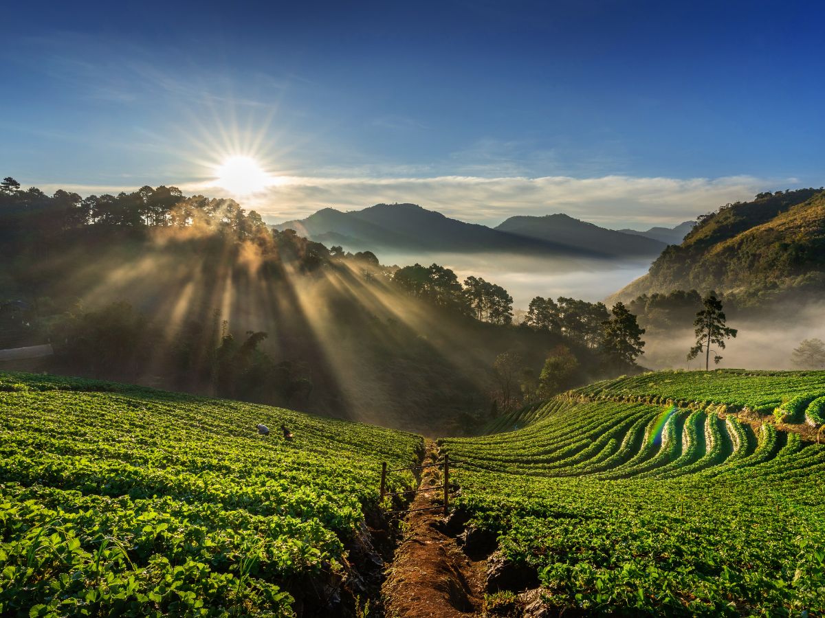 Meghalaya - Zingbus