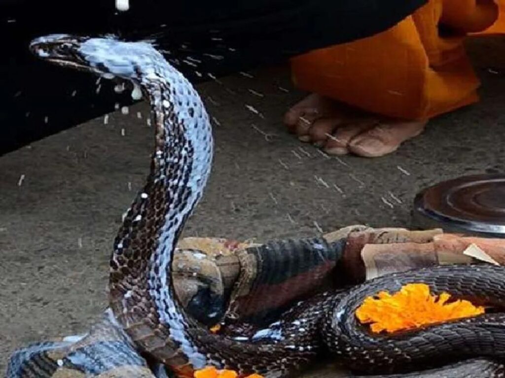 Naag Panchami festival