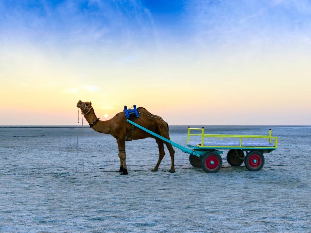 rann-of-kutch