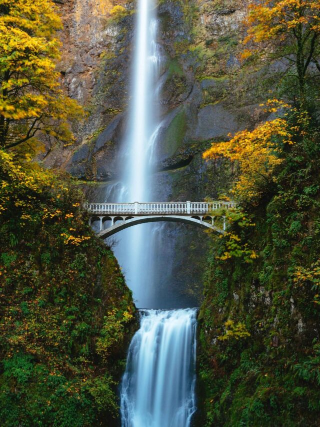 Highest Waterfall in india