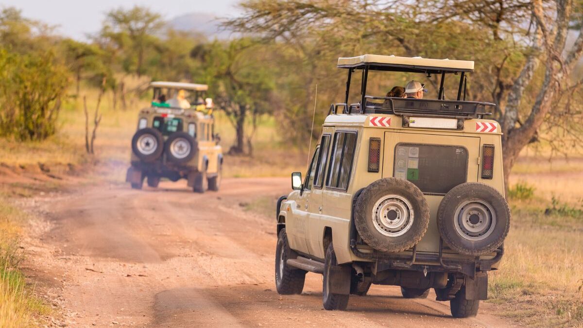 masinagudi jeep safari