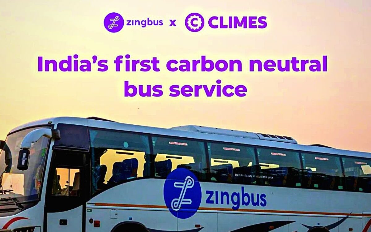 Zingbus-climes