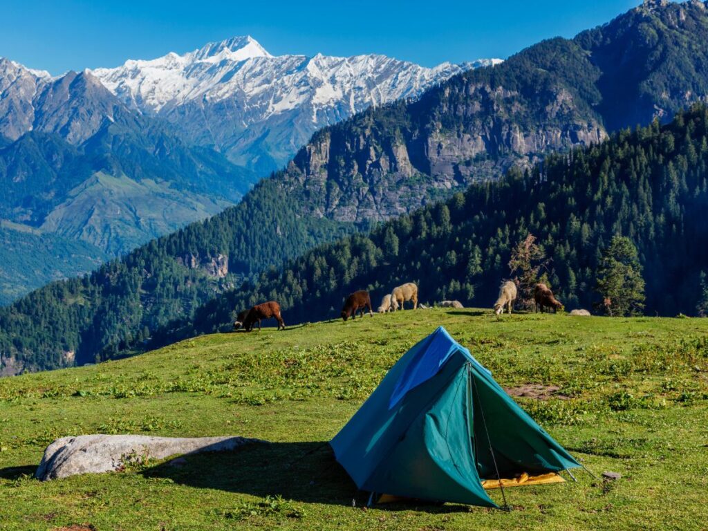 best campsites in manali