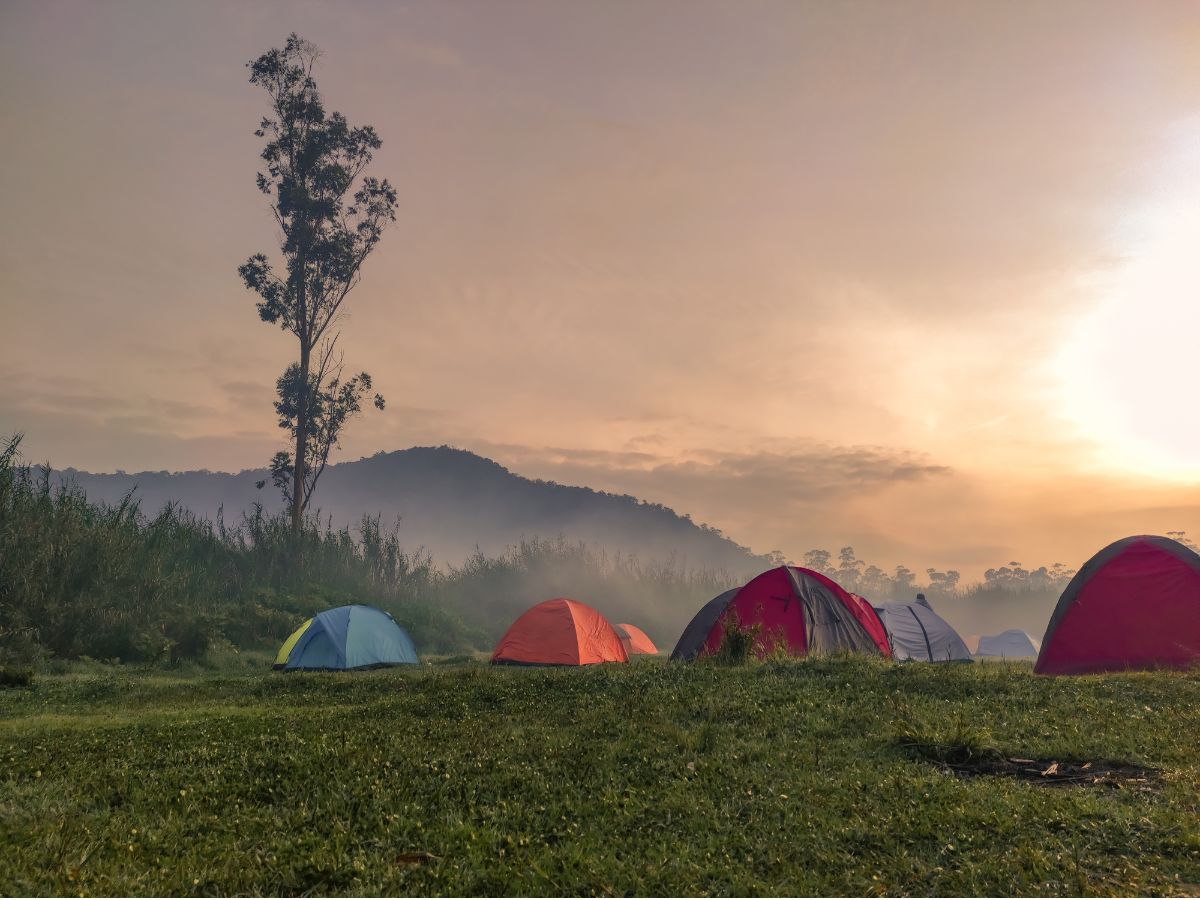 A Guide to the Best Campsites in Manali for Nature Lovers