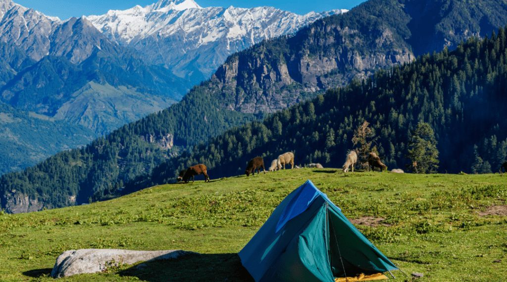 Delhi to Manali