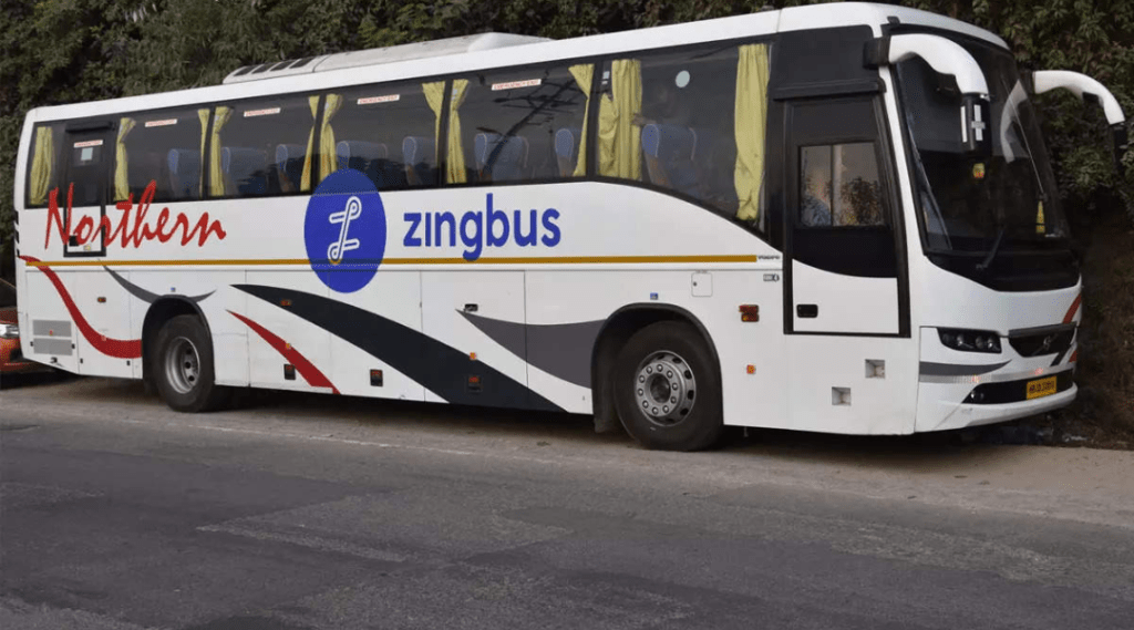 zingbus