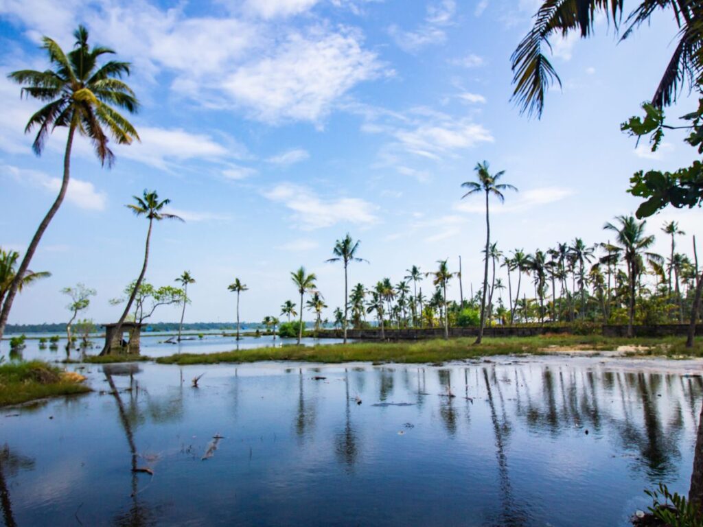 Cherai Beach - Kochi