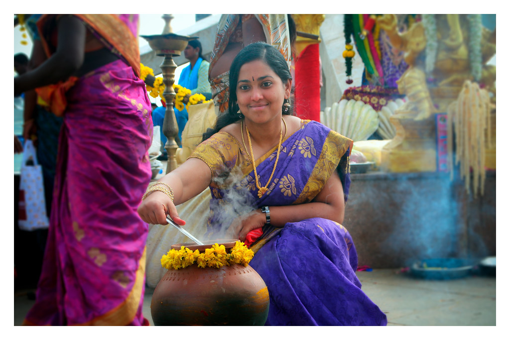 Pongal celebration