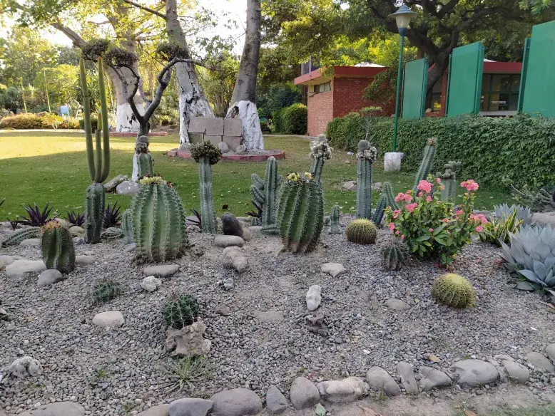 Cactus Garden - 20 Best Places to visit in Chandigarh for Couples