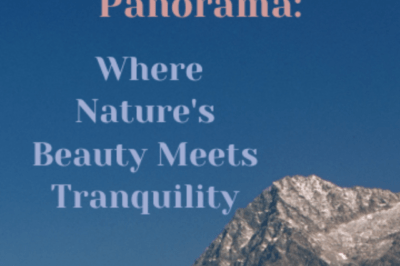 Palampur Panorama: Where Nature’s Beauty Meets Tranquility