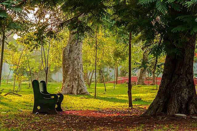 Botanical Garden in Pondicherry