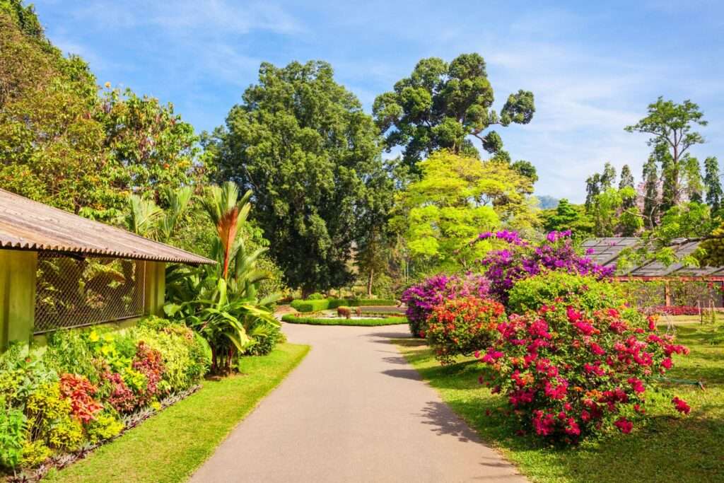 Botonical Garden Ooty