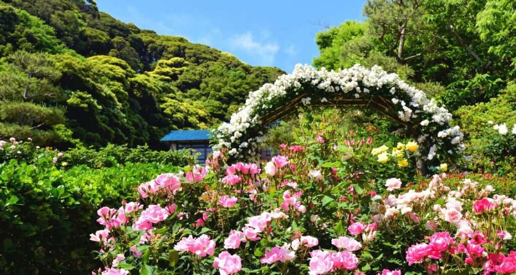 Rose Garden Ooty - #5 of 12 Best Hill Stations Near Bangalore