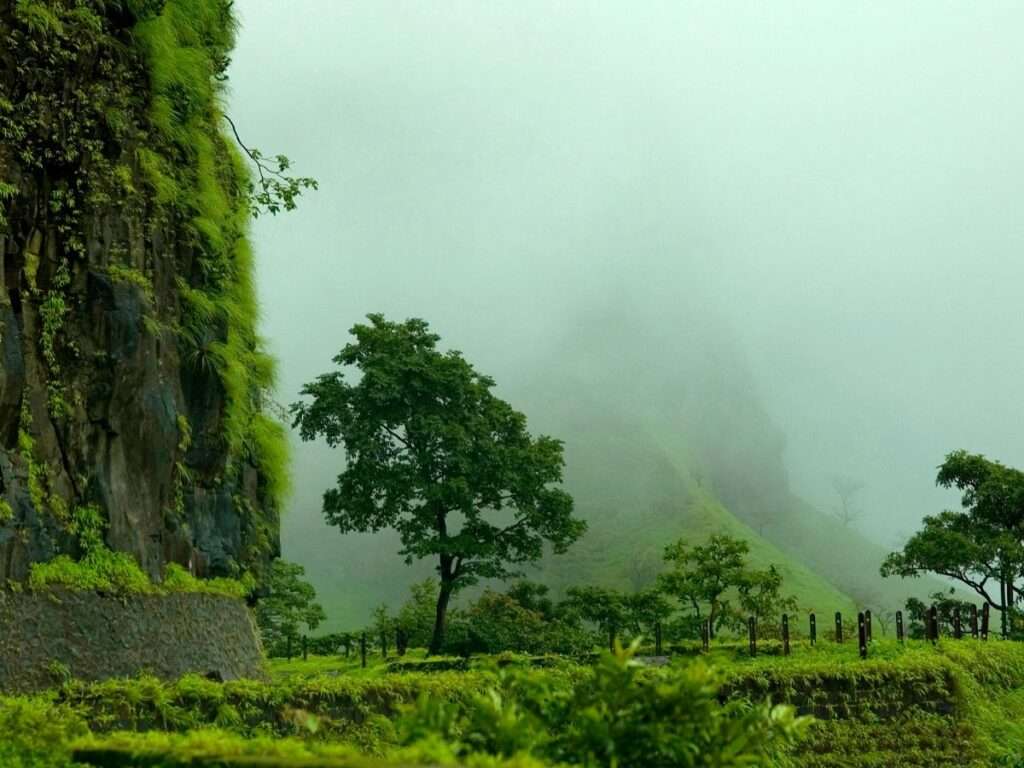 Rajmachi Fort