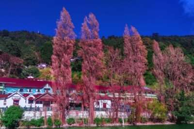 10 Best Places to Visit in and Around Nainital forLakeside Relaxation & Scenic Beauty