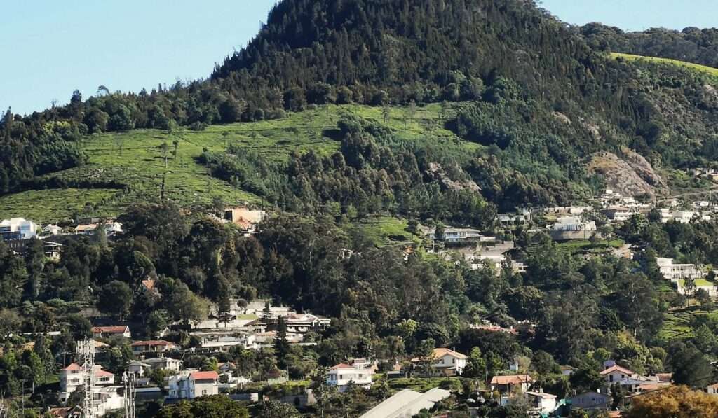 
coonoor-