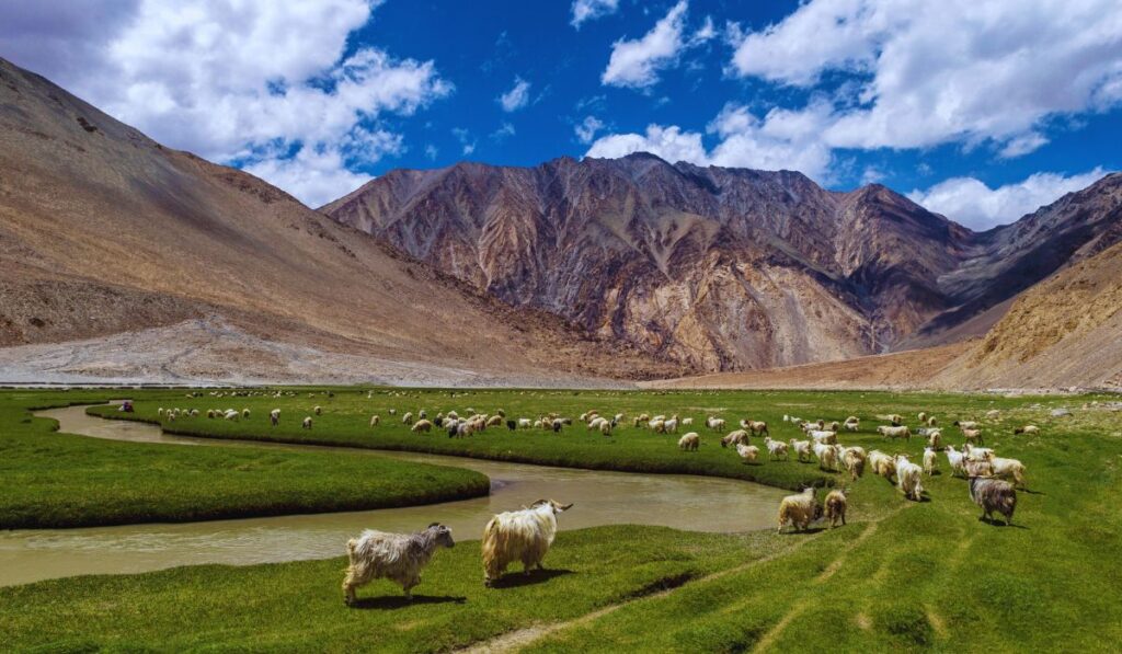 ladakh