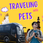 Pet-Friendly Bus Travel 10 Simple Safety Rules for Your Hassle-Free Journey