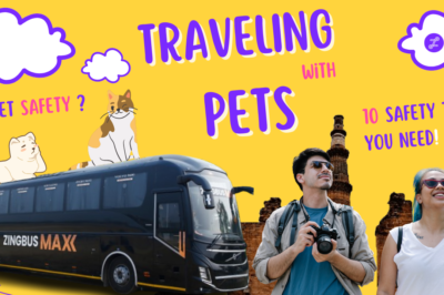 Pet-Friendly Bus Travel: 10 Simple Safety Rules for Your Hassle-Free Journey