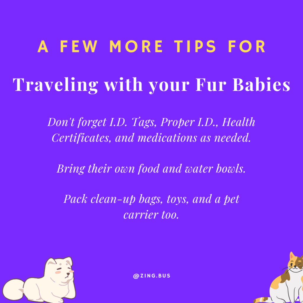 Pet Travel Tips and Safety Rules