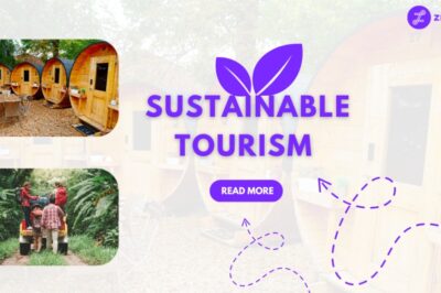 Sustainable Travel and Tourism Made Easy: Travel Safely and Responsibly with Zingbus